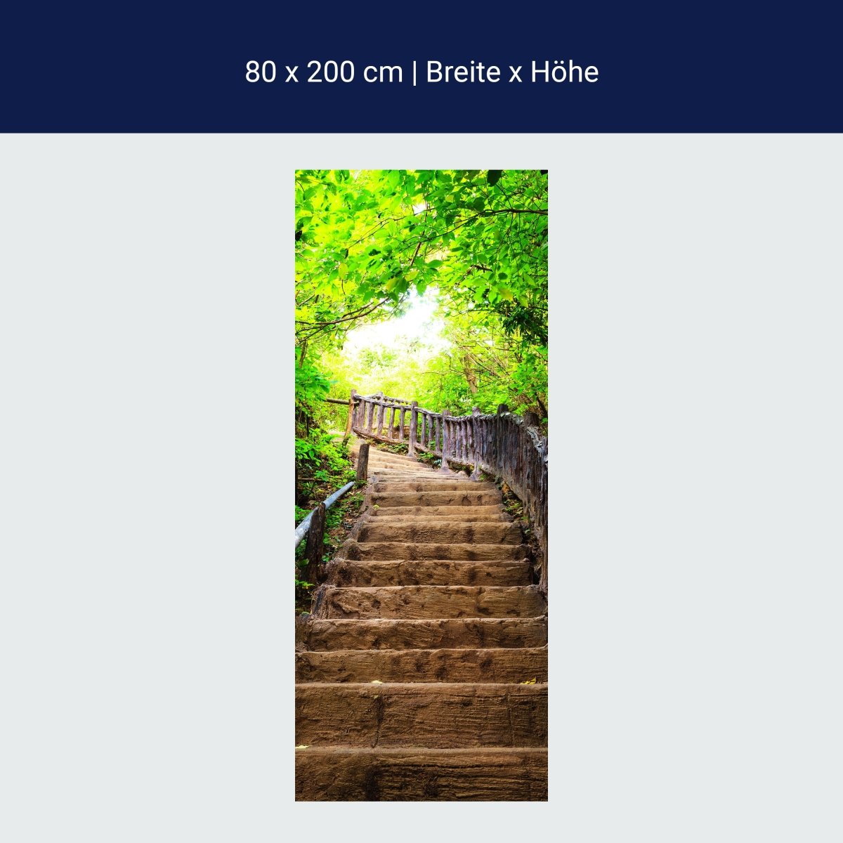 Türtapete Treppe im Wald, Steintreppe, Holz, Bäume M1387