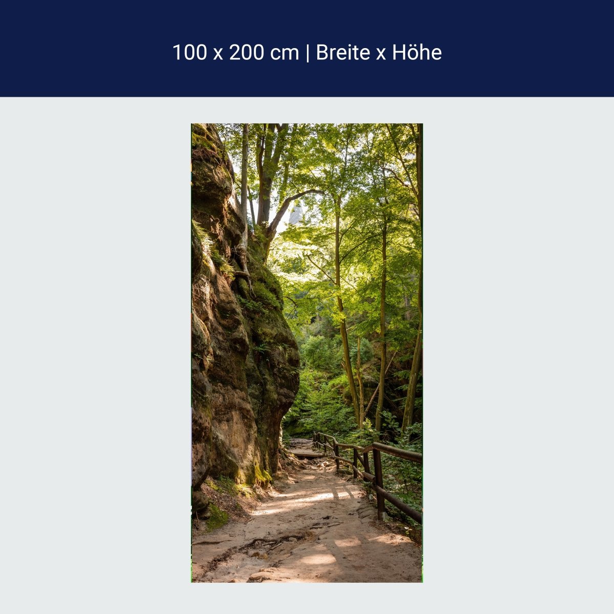Türtapete Wanderweg im Wald, Felsen, Bäume, Natur M1393