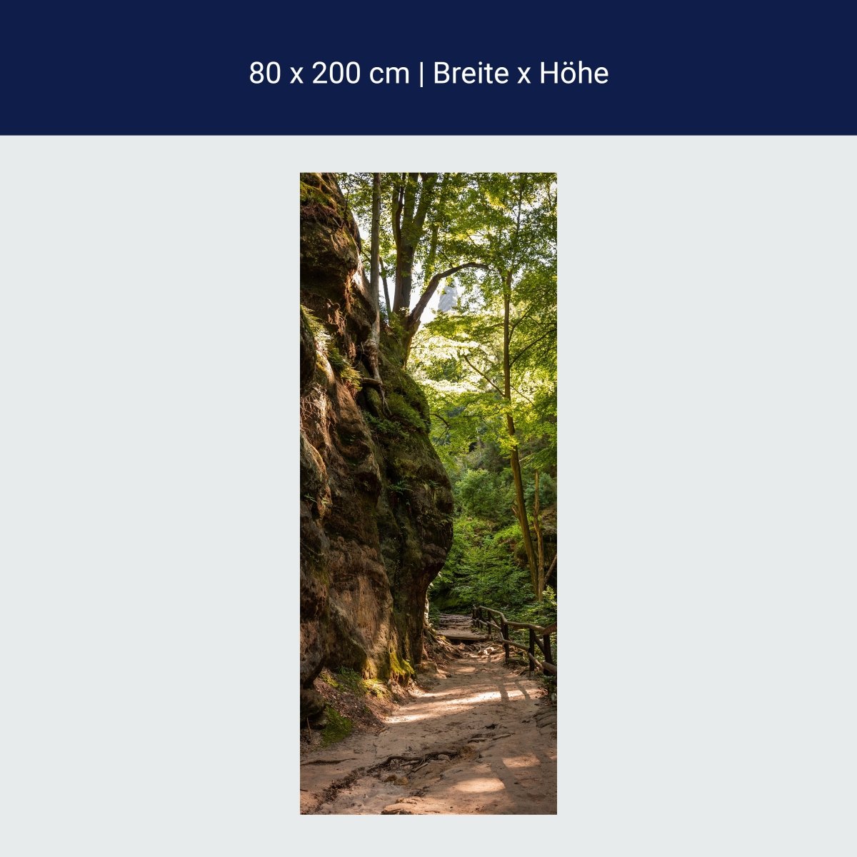 Türtapete Wanderweg im Wald, Felsen, Bäume, Natur M1393