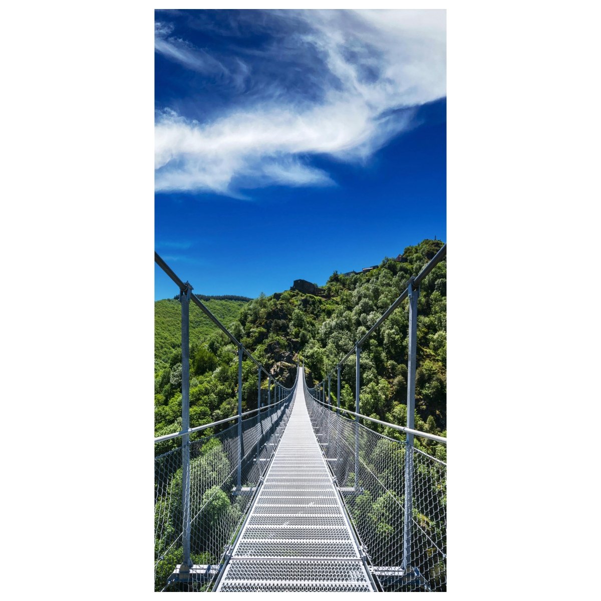 Türtapete Hängebrücke über Tal, Wald, Bäume, Natur M1395 - Bild 2