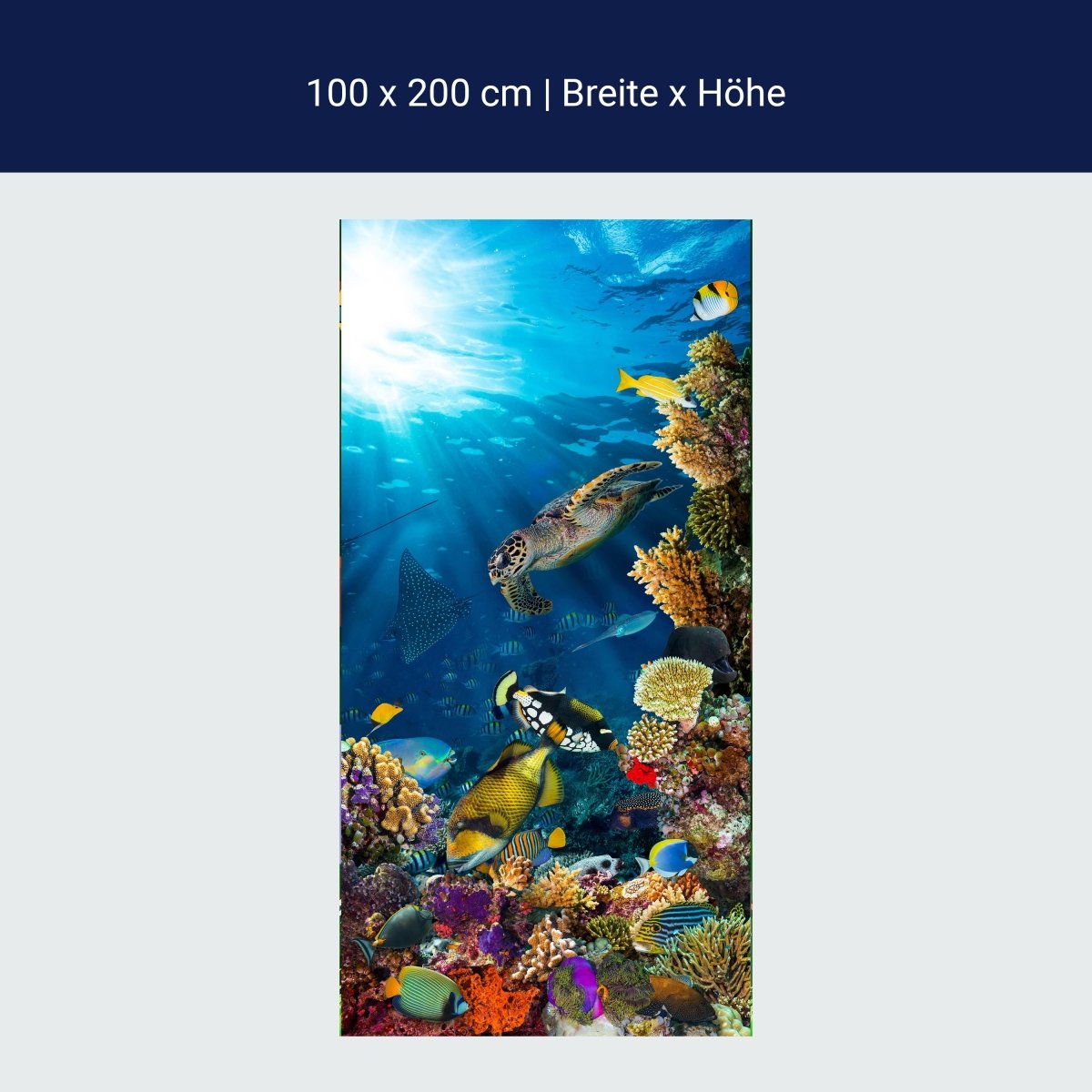 Türtapete Unterwasser Meer Korallen Fische M1406