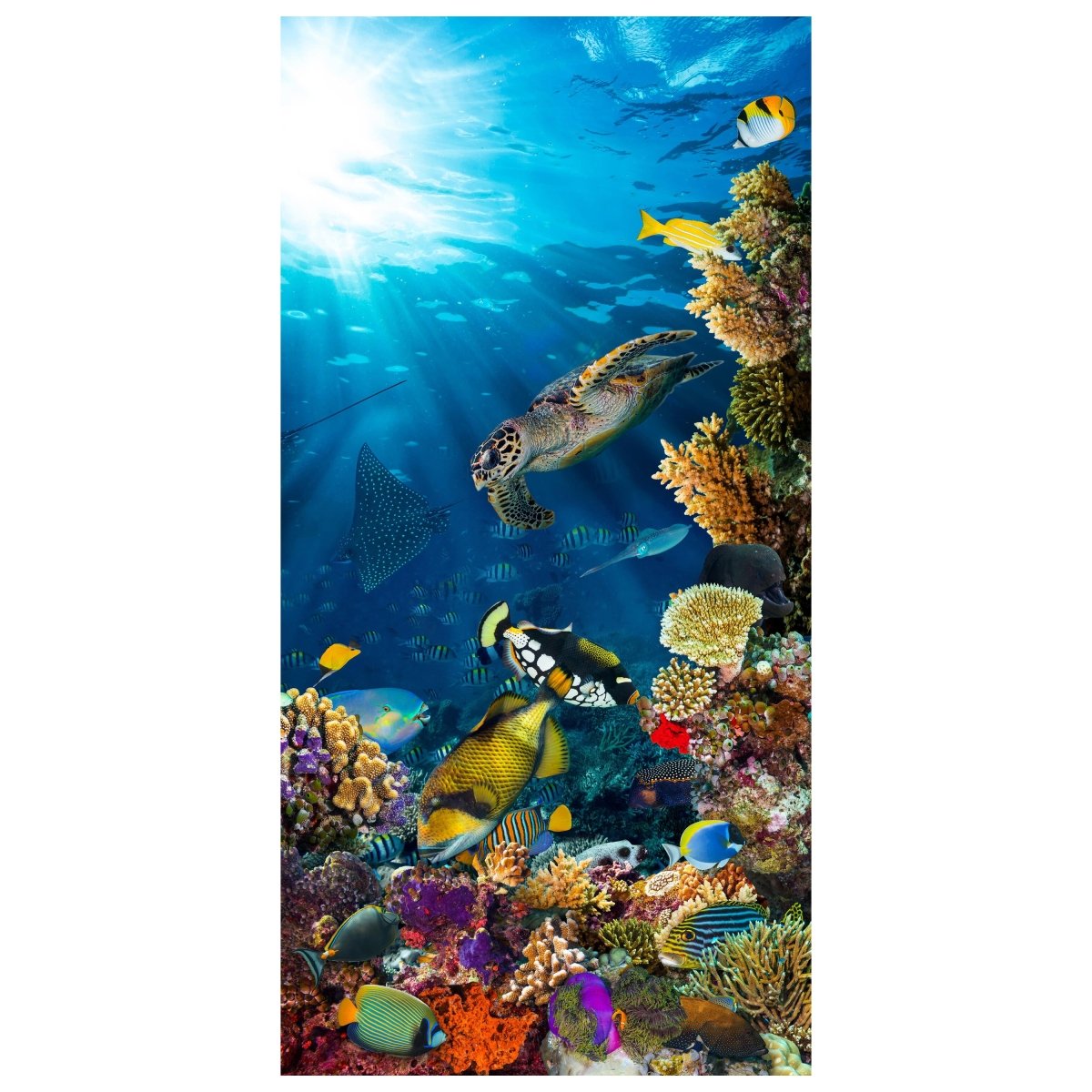 Türtapete Unterwasser Meer Korallen Fische M1406 - Bild 2