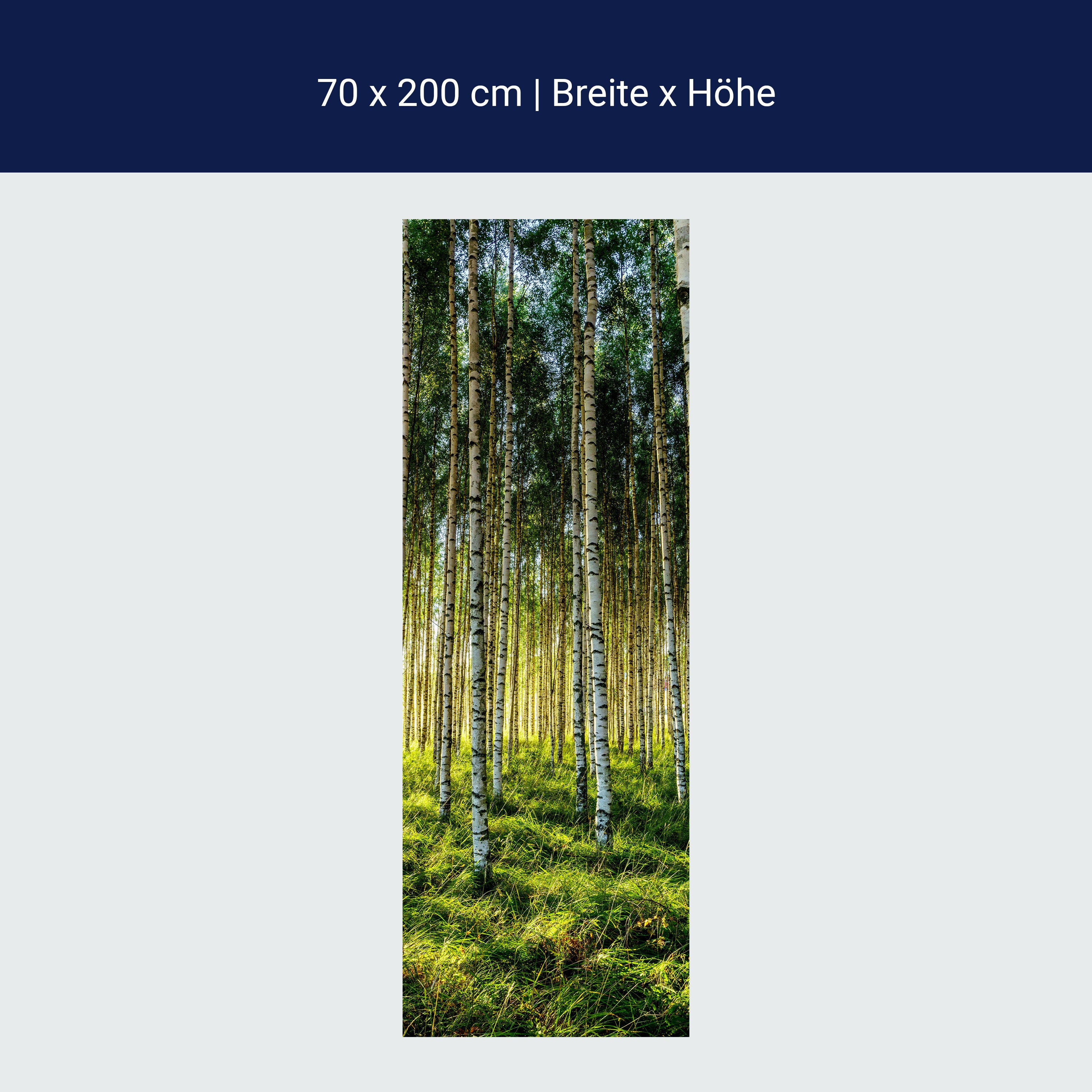 Door wallpaper forest, birch, meadow, trees M1424