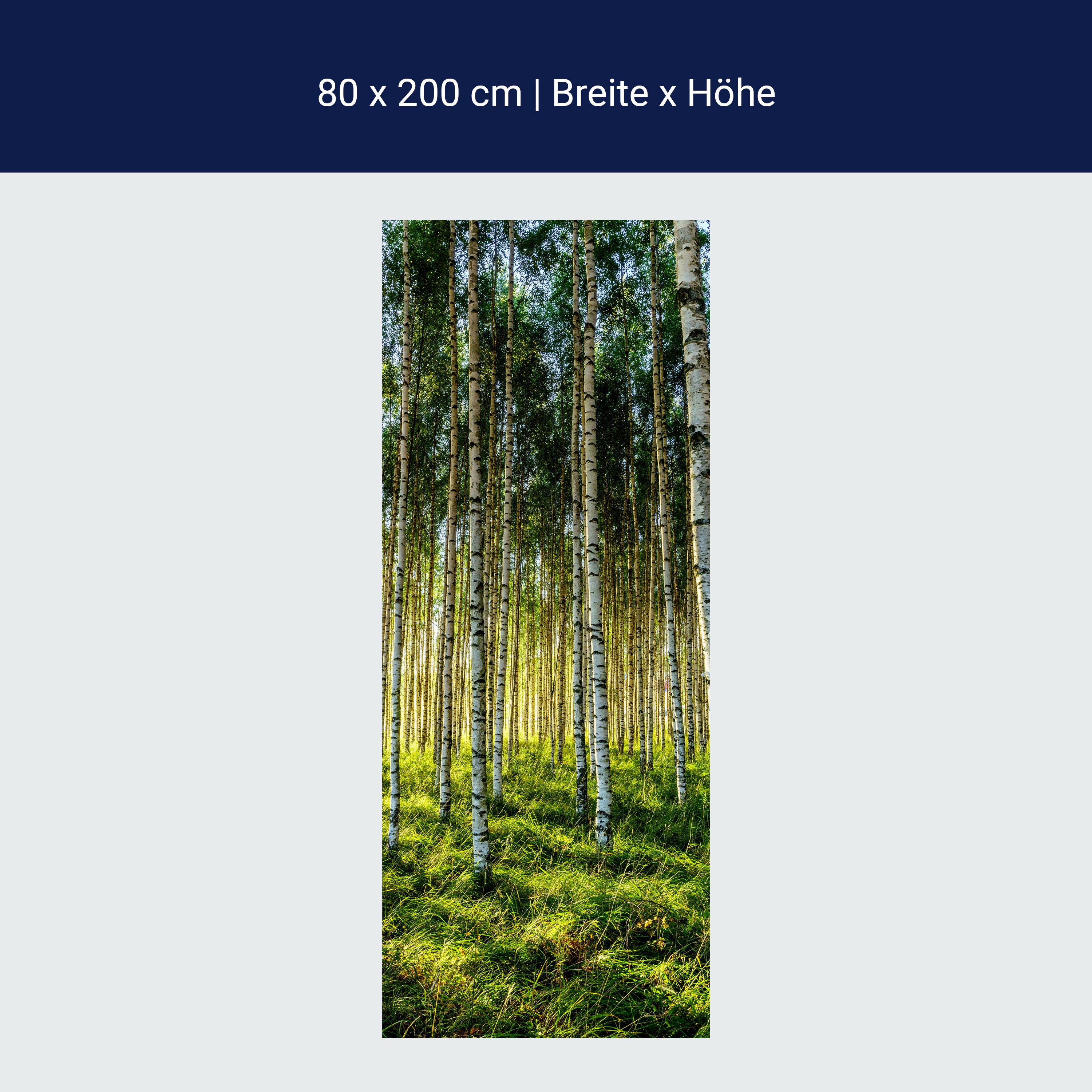Door wallpaper forest, birch, meadow, trees M1424