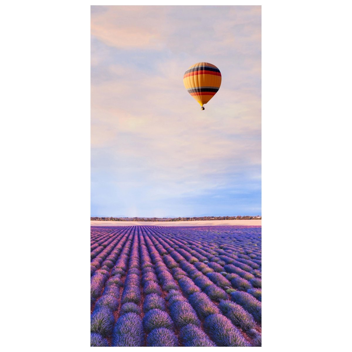 Türtapete Lavendel, Feld, Heißluftballon M1425 - Bild 2