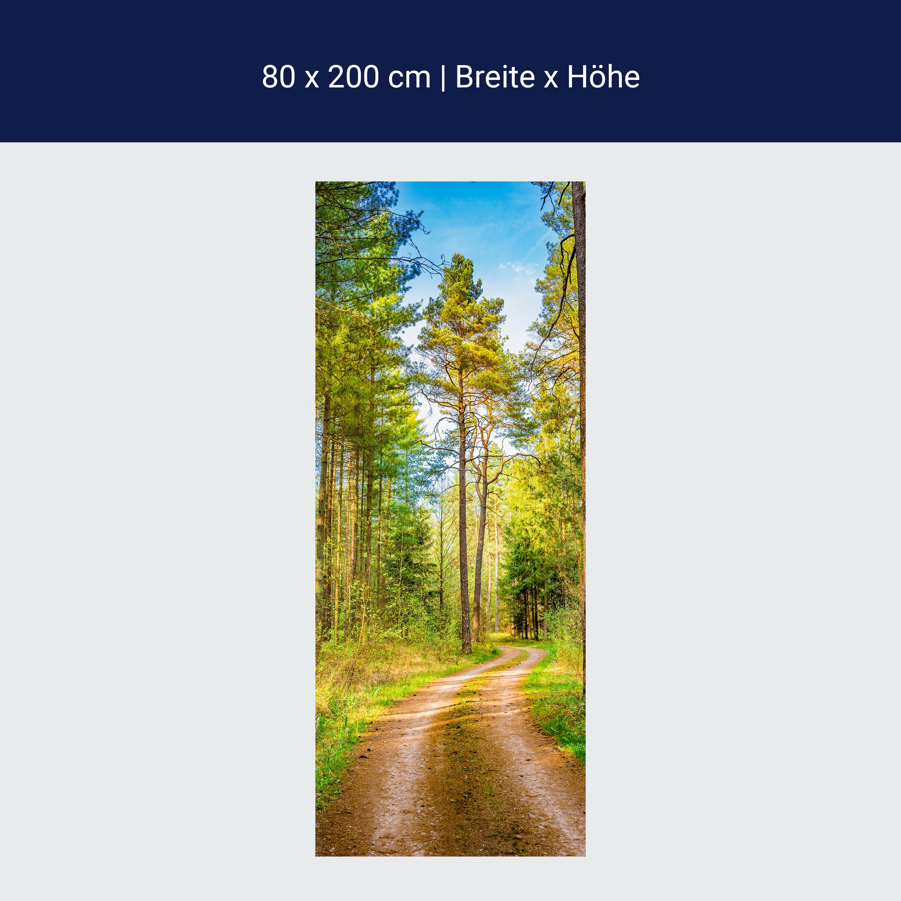 Door wallpaper forest, path, trees M1426