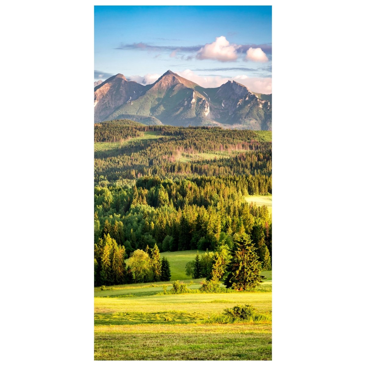 Türtapete Berge, Wald, Landschaft, Slowakei M1428 - Bild 2
