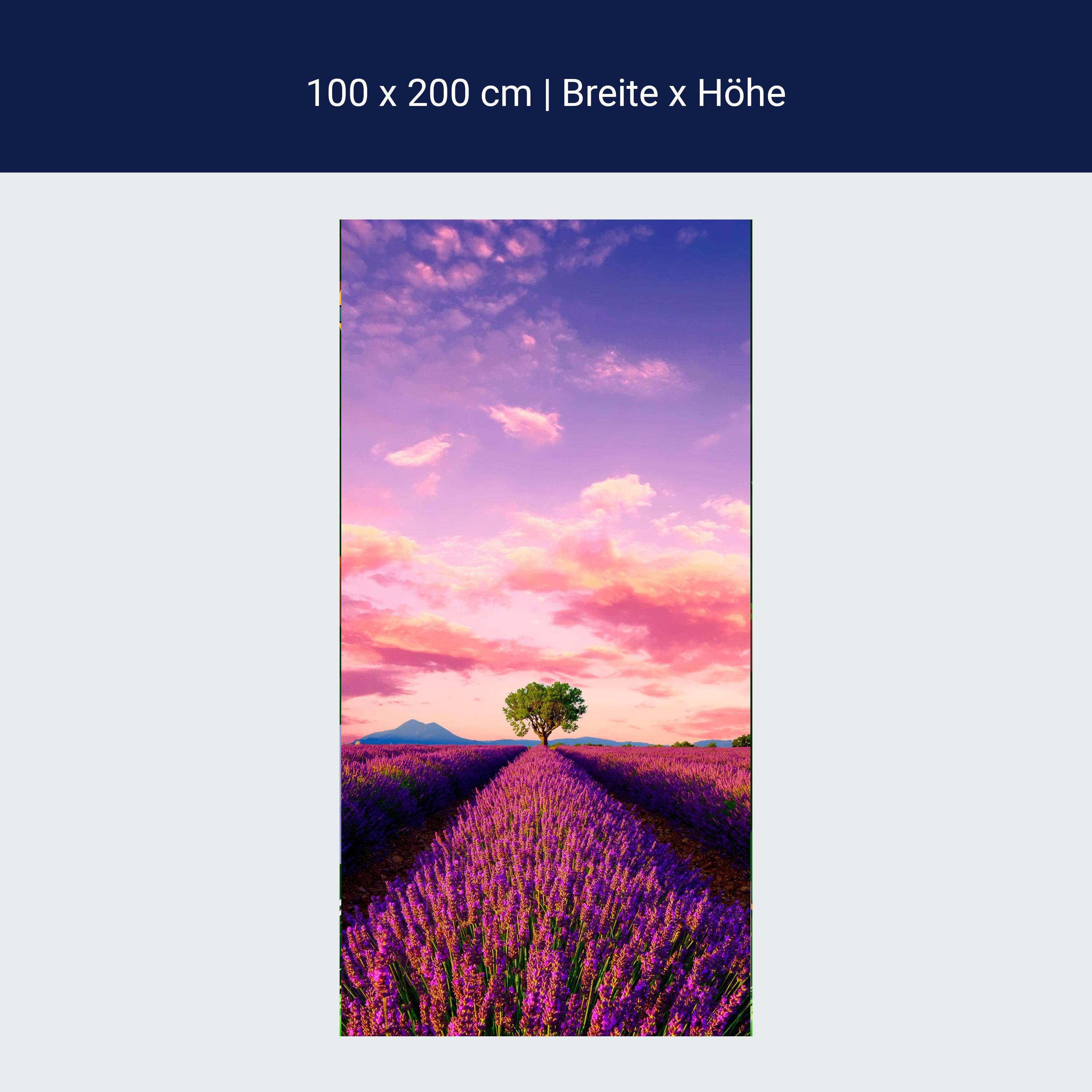 Door wallpaper lavender, field, tree, landscape M1430
