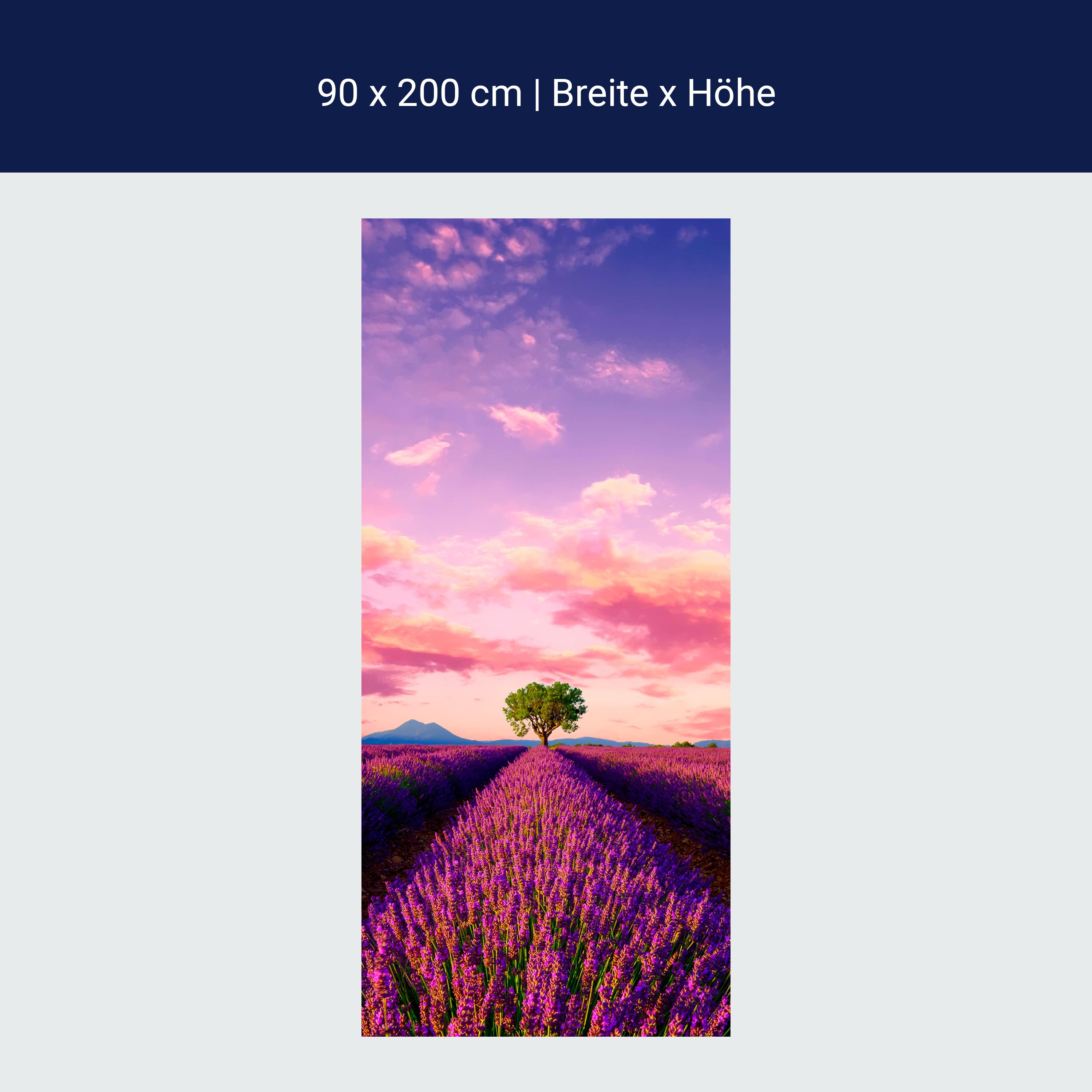 Door wallpaper lavender, field, tree, landscape M1430