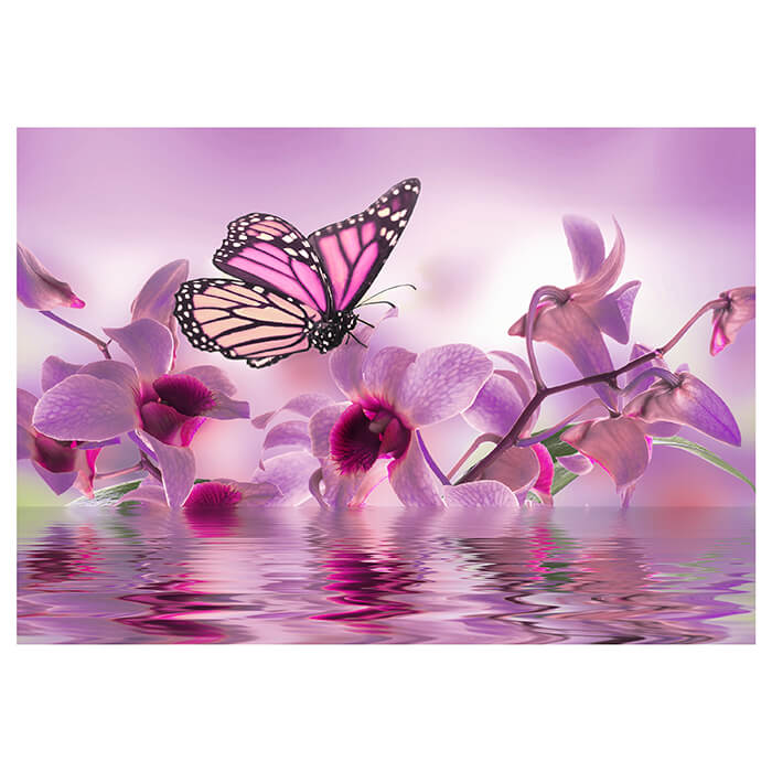 Fototapete Violett Schmetterling M1853 - Bild 2