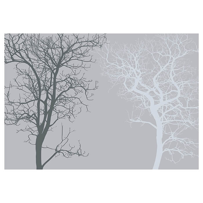 Fototapete Baum grau Wald M3604 - Bild 2