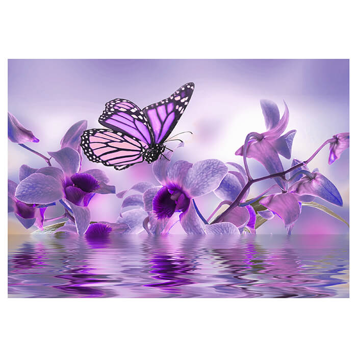 Fototapete violett Orchidee M3739 - Bild 2