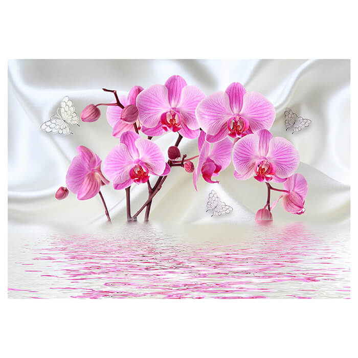 Fototapete Orchideen Schmetterlinge wasser Seide M4661 - Bild 2