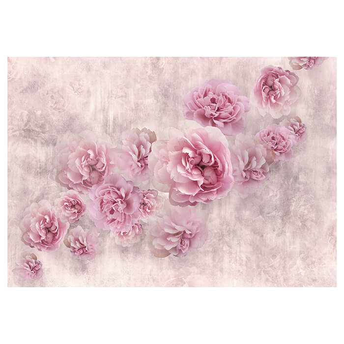 Fototapete rosa Rosen Betonwand alt M4678 - Bild 2