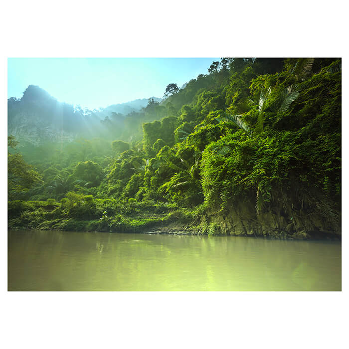 Fototapete Dschungel Wald Fluss Berg M4931 - Bild 2