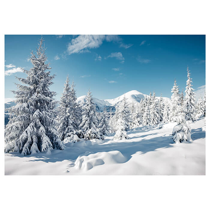 Fototapete Berge mit Schnee M5740 - Bild 2