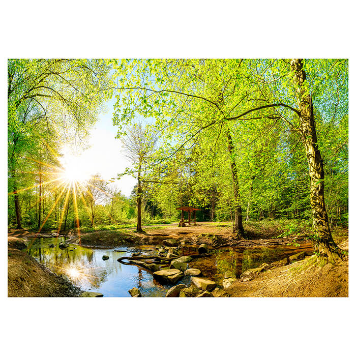 Fototapete Wald im Sommer mit Bach und Sonne M5751 - Bild 2