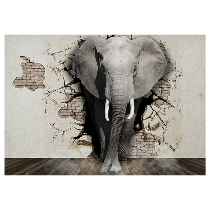 Fototapete Elefant aus Wand M5907 - Bild 2