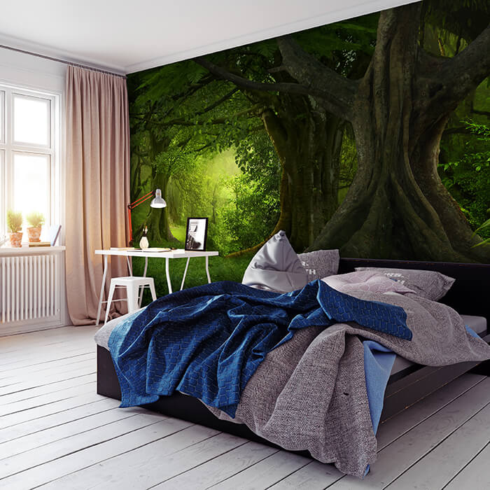 Wandbilder Wald - Bäume & entdecken