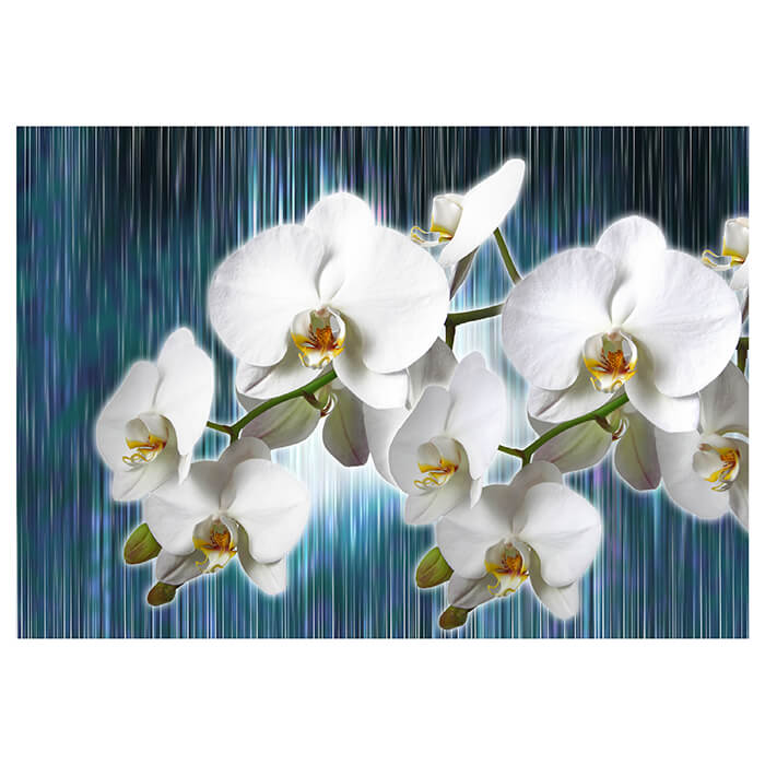Fototapete Orchideen Orchideenzweig Blüten M6246 - Bild 2