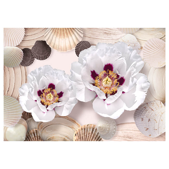 Fototapete weiße Blüten Muscheln M6263 - Bild 2