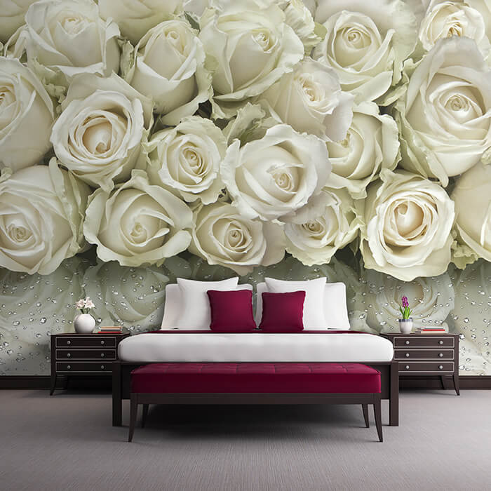 Fototapete weiße Rosenblüten M6296 - Bild 1