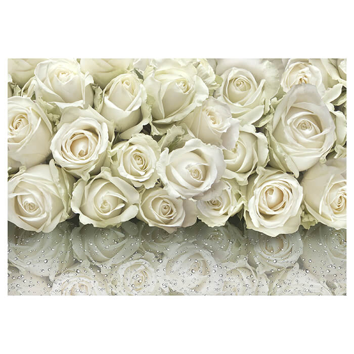 Fototapete weiße Rosenblüten M6296 - Bild 2