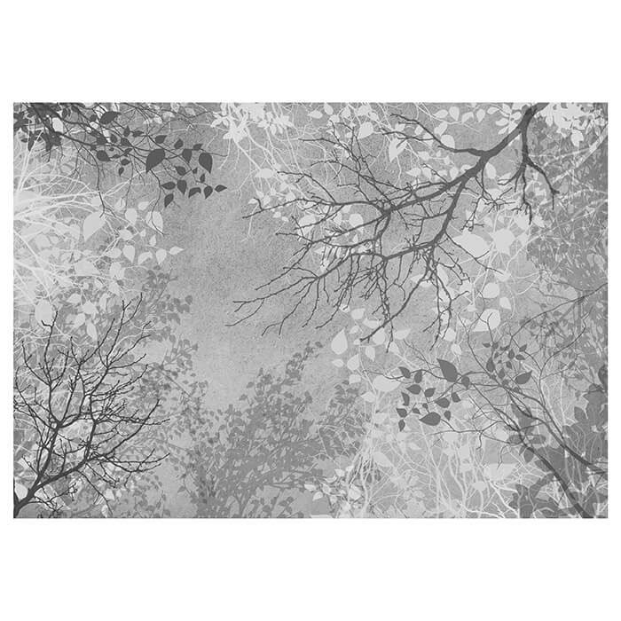 Fototapete Bäume Zweige grau M6310 - Bild 2