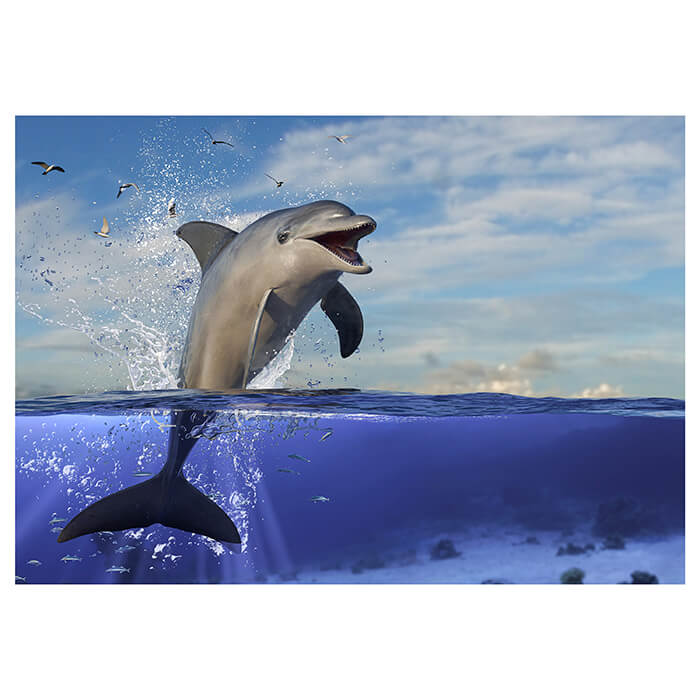 Fototapete springender Delfin Wasser M6474 - Bild 2