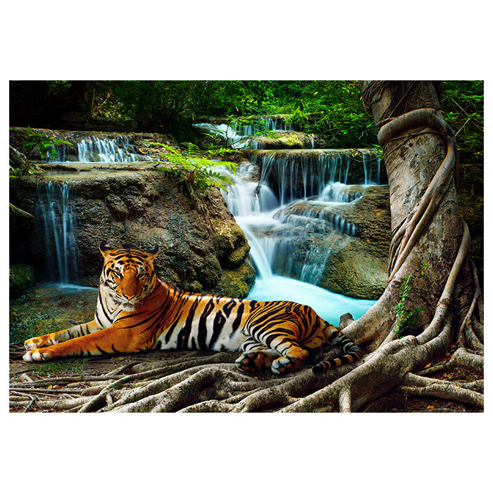 Fototapete liegender Tiger Dschungel M6537 - Bild 2