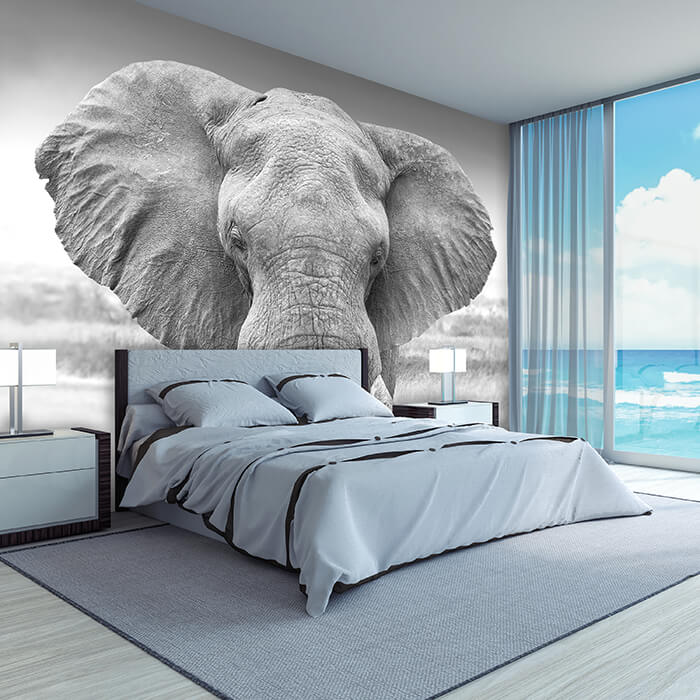 Fototapete Elefant schwarz weiß M6541 - Bild 1