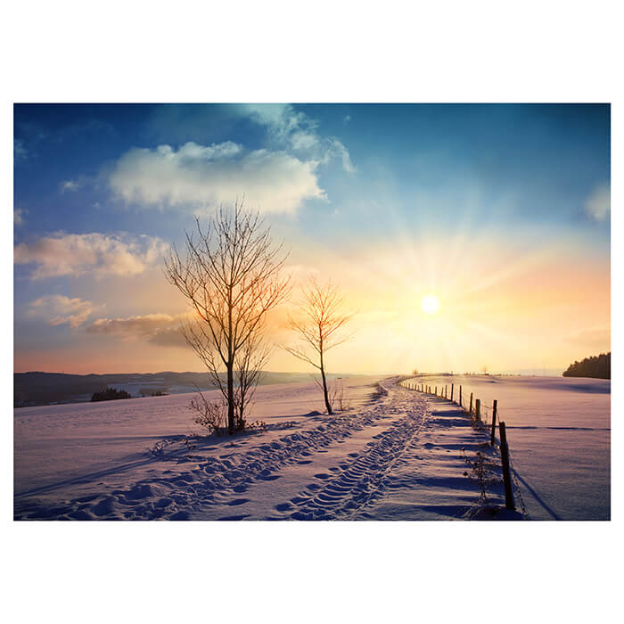 Fototapete Schnee Zaun Bäume Sonne M6813 - Bild 2