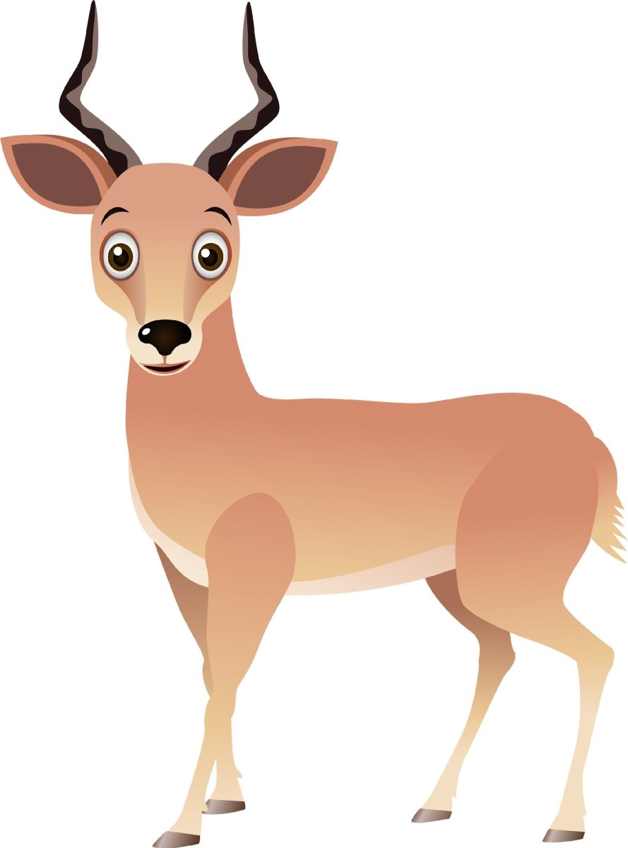 Wandsticker aufmerksame Gazelle, Tiere, Afrika, Kind WS00000016 - Bild 4