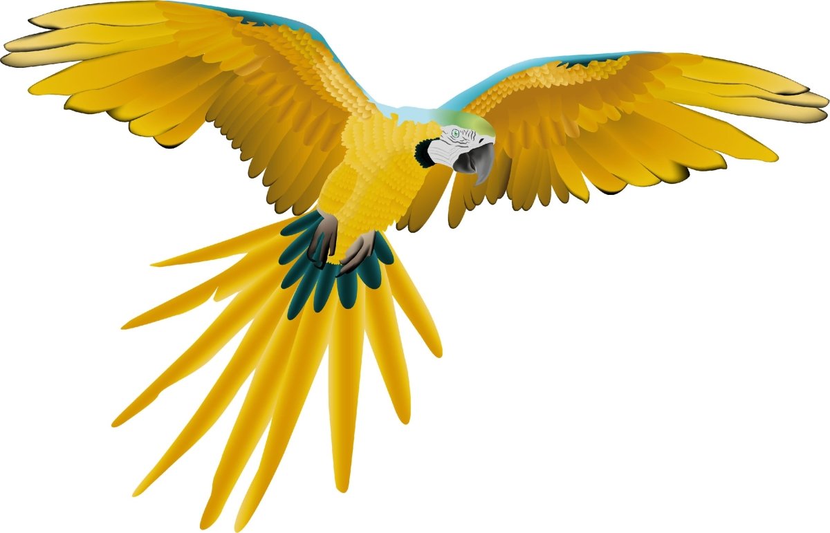 Wandsticker Papagei im Flug, Exotisch, Dschungel WS00000039 - Bild 4