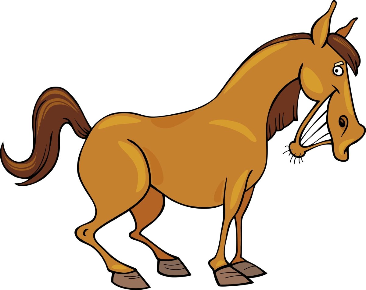 Wandsticker grinsendes Pferd, Pony, Tiere, Pferde WS00000060 - Bild 4