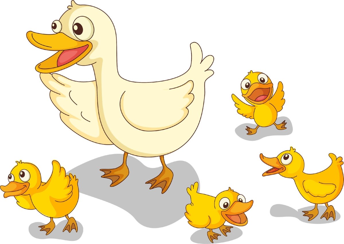 Wandsticker Enten Familie, Tiere, Kücken, Ente WS00000072 - Bild 4