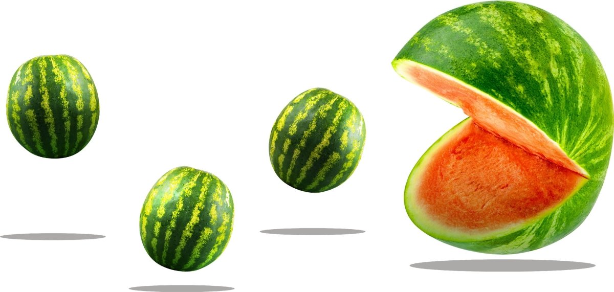Wandsticker Melonen Pacman, Wasser-melone, Obst WS00000210 - Bild 4