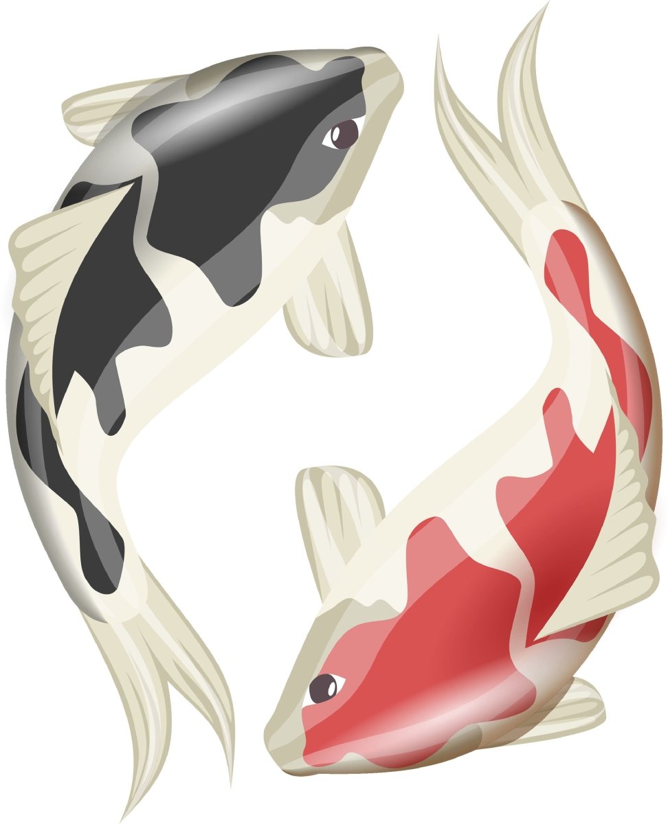 Wandsticker schwarzer & roter Koi, Ying & Yang WS00000223 - Bild 4