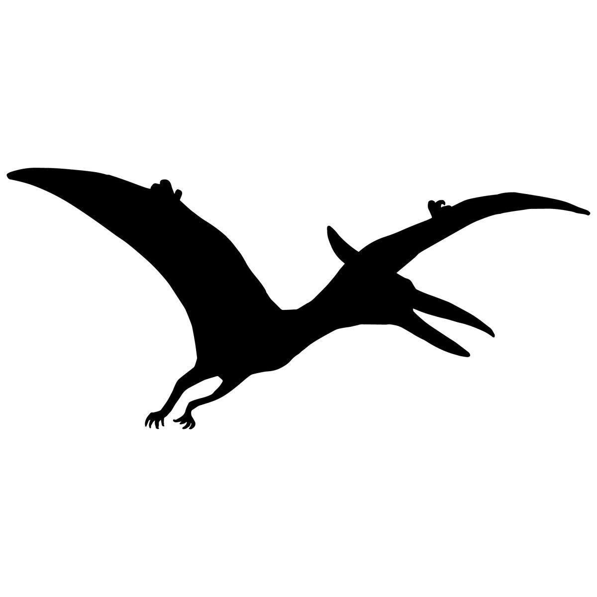 Wandtattoo Dinosaurier Pteranodon WT00000038 entdecken - Bild 1